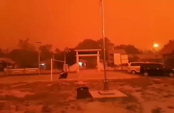 firefighters