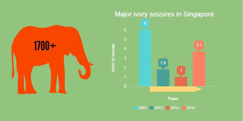 Elephant Ivory Singapore Infograph 2