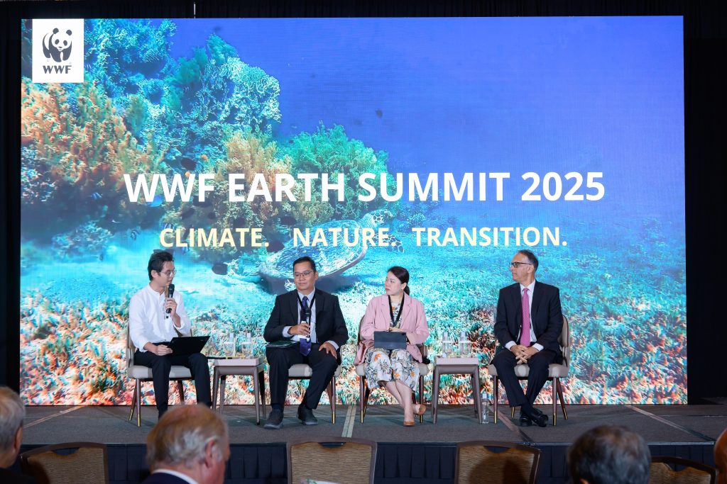 2025 Summit 163 copy
