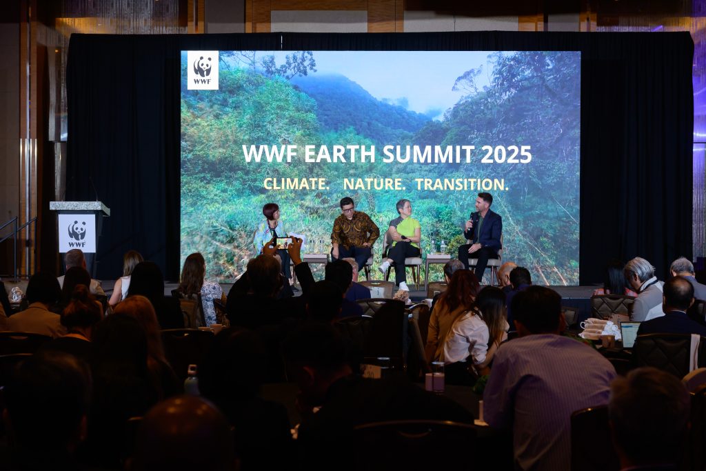 2025 Summit 263 copy 2