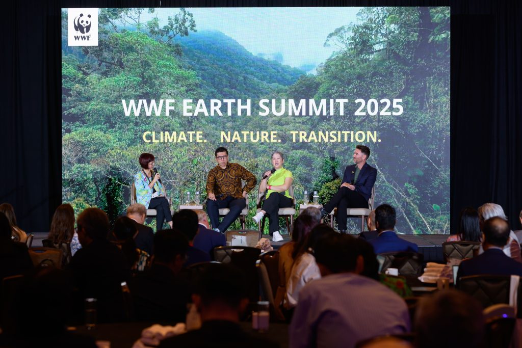 2025 Summit 264 copy