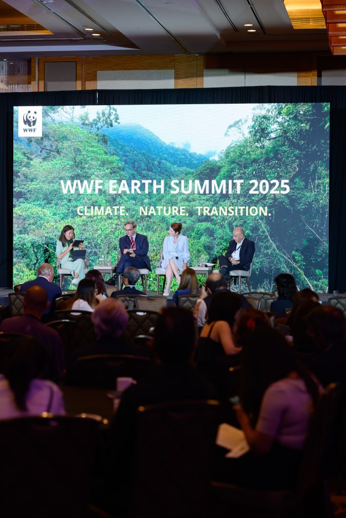 2025 Summit 532 copy