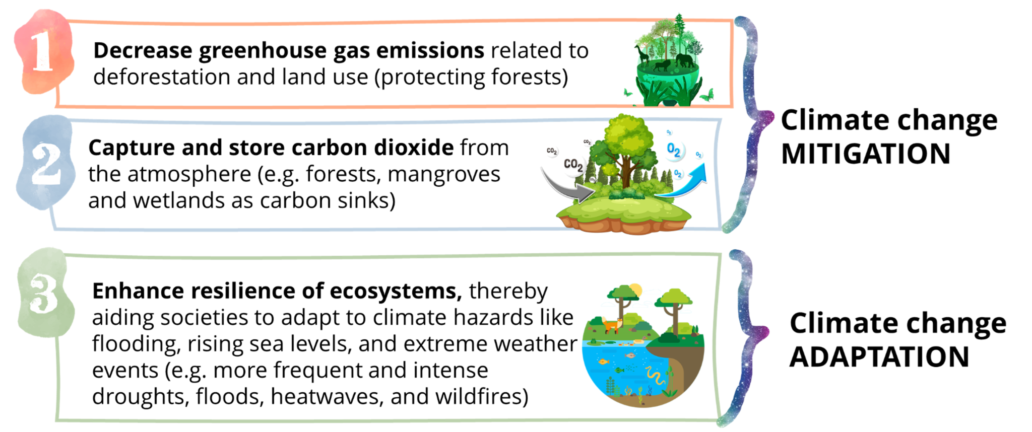 Three Main Ways NbS Help Combat Climate Change WWF Singapore eLearning