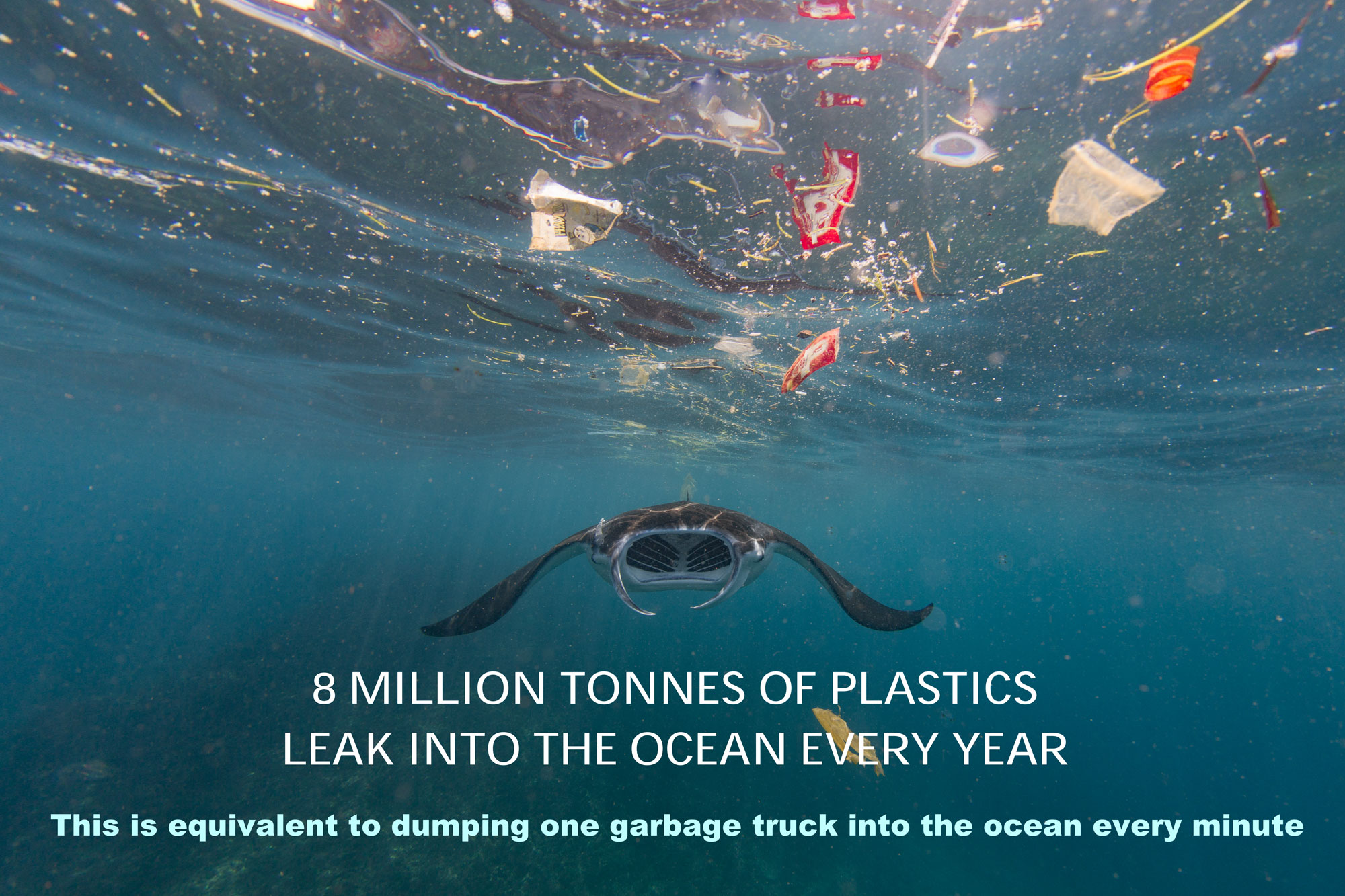 WWFSingapore Towards a plasticlite Singapore